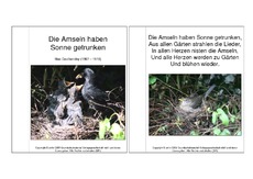 Mini-Buch-Amsel-Gedicht-Dauthendey.pdf